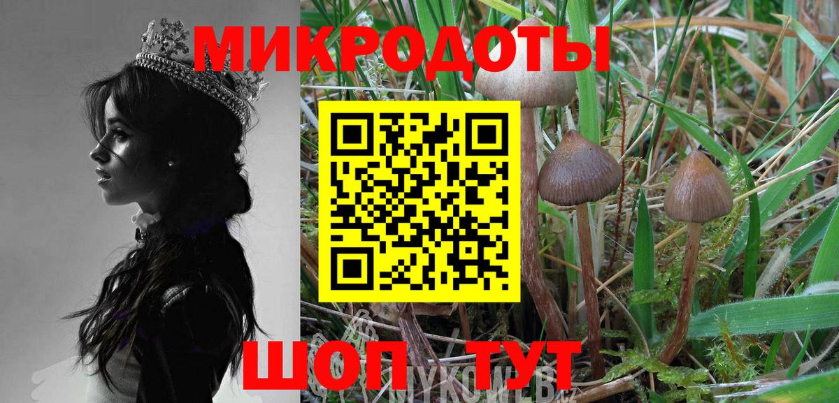 Галлюциногенные грибы Psilocybe  Вход с VPN  Псилоцибиновые грибы мухоморы  что такое наркотик  Великий Новгород 